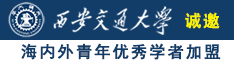 午夜网址啊啊啊啊啊啊大鸡巴操我诚邀海内外青年优秀学者加盟西安交通大学